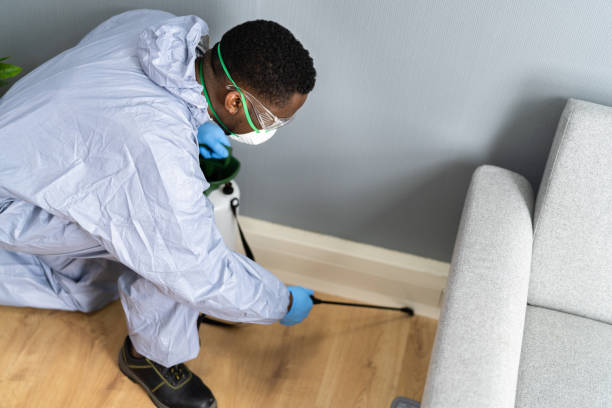 Best Residential Pest Control  in Huntley, IL